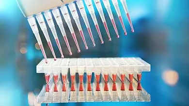 Close-up of a multi-channel pipette dispensing red liquid into a laboratory plate with a blurred blue background.