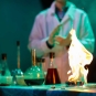 Laboratory
