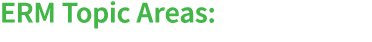 ERM Topic Areas: 